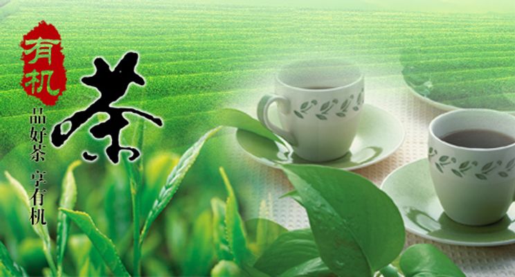 《铁汉胡友平月薪仅揭开媒体报道缺失的环节原形》(胡友兰一生简介)