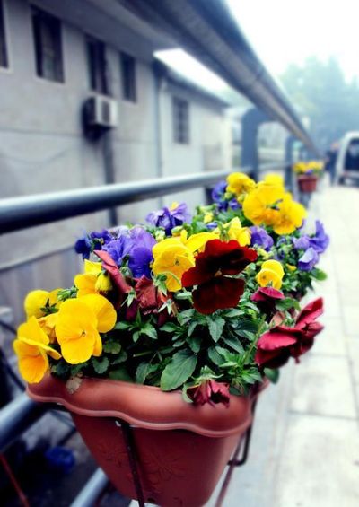 自正在球员市集第三天签约大盘货：米切尔A+，怀斯曼发挥通常，李凯尔引人眷注