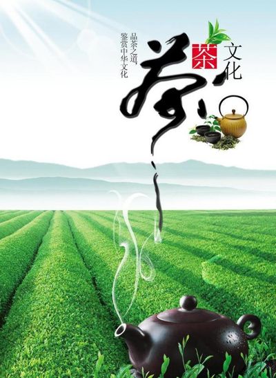 新式茶饮解锁年轻人茶文化新体验