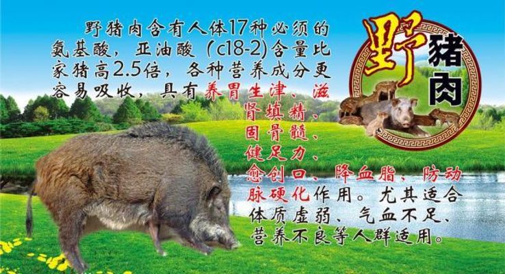 中国又开始“反人类操作”沙漠能变绿竟是一群黑猪在“打工”