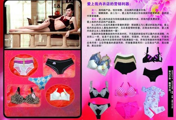 中国女士内衣行业深度调研与投资战略规划分析报告