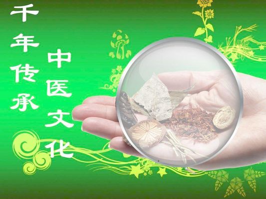 伟德bv1946官网-大运河畔热闹开走亲子毅行传承年俗