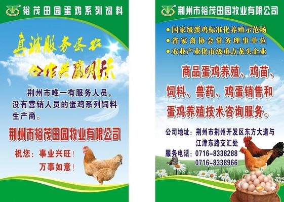 效率翻10倍！鹤山这个饲料企业花式“宠鹅”
