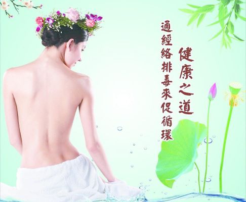 凝聚杏林力量 弘扬中医文化 2026第三届全球中医春节联欢晚会
