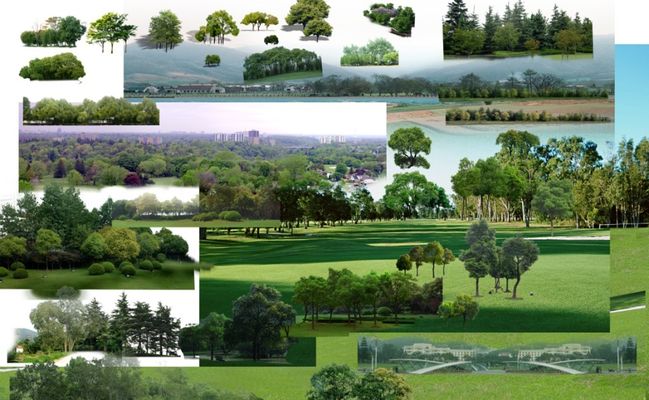 郑文灿因涉贪污罪被考查，请辞海基会董事长职务激发眷注(郑文涌片面材料)