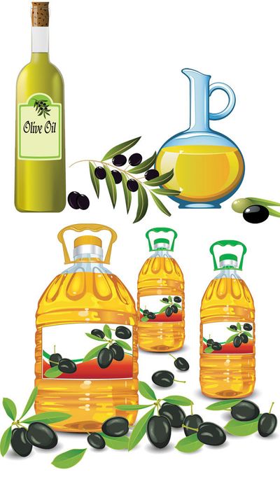 中国食用业2026：健康化、品牌化与供应链重构下的竞争新局