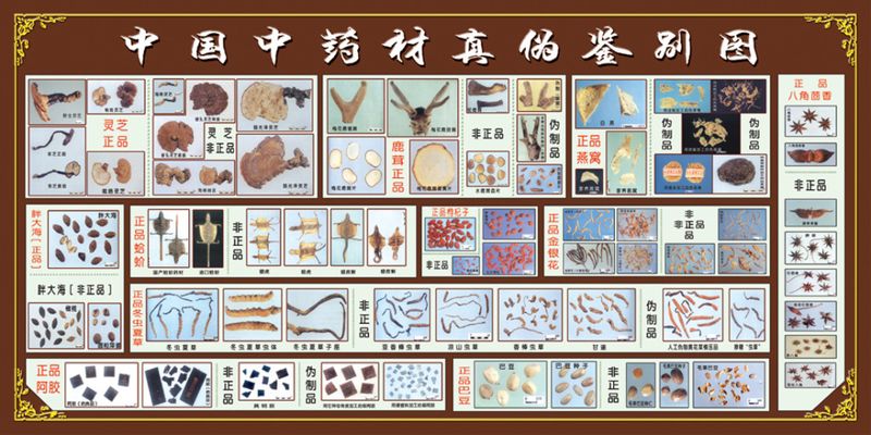 伟德bv1946官网-Specialized Exhibition for Livestock Farming and Veterinary Medicine