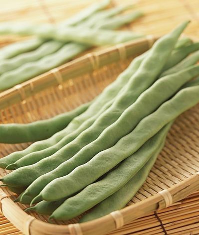 张家口市农科院旱地芸豆新品种完成效果转化