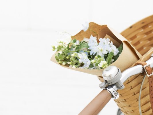 德信官方网站插花设计的基本要素