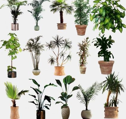 乐竞全站app登录app江西处境工程职业学院助班级植物过冬