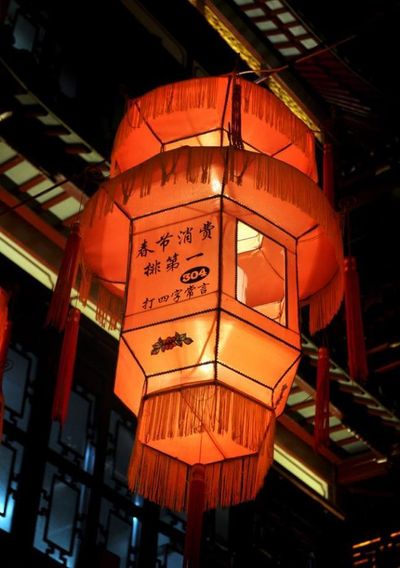 打造沉溺式光影盛宴！柳树青灯展下一年新春亮灯