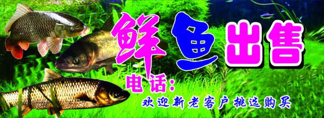 韦德体育- 韦德体育官方网站- 韦德体育APP跨界联动赋能青年创意 2025阿道夫青年创意大赛青春盛典圆满落幕