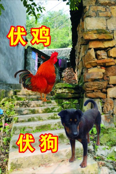 今天是进入“头伏”第一天 北京空气湿度明显加大