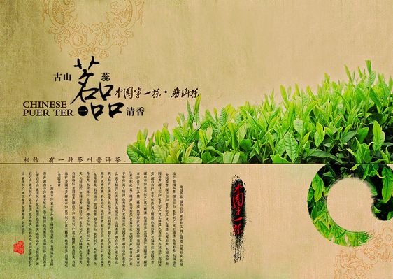 标准化+品牌化泛亚电竞app传统茶叶出海还要做好这些准备