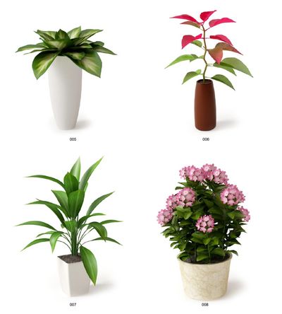 乐竞官网入口网页版略伦特判辨：尤文图斯、那不勒斯与米兰将主导意甲冠军之争，意甲或将外露特殊式样