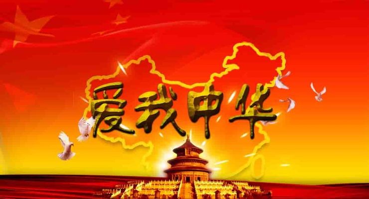 中华财险重庆分公司开展防非宣传月活动