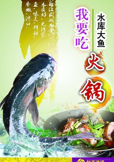 鱼头大王：白手起家赚百亿家产却4年输光百亿连一块钱都不剩