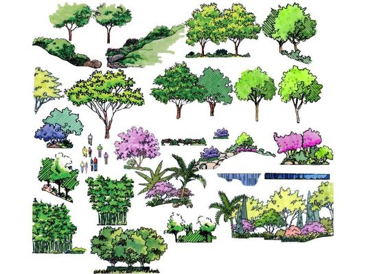 逛水核心公示巴黎奥运会参赛名单：新星崭露头角，宿将再度出征