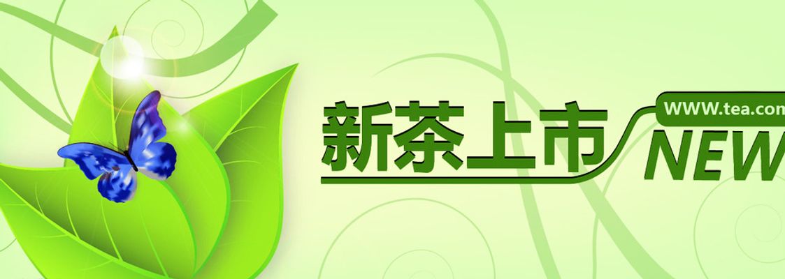 电白区海产品干果商会会长、茂名市澳海食品有限公司总经理陈观兴华体会- 华体会体育官网- 华体会体育APP下载：深耕全球海参市场续写电白海味的守与闯