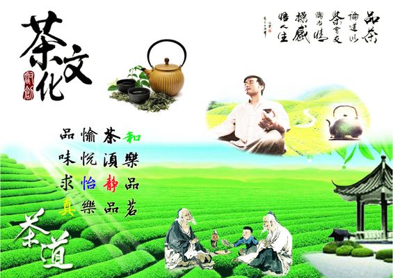 围绕一壶清茶话古今：茶文化的历史与传承