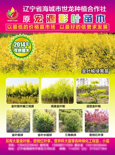 湖南花木产业谋求“价值破局”