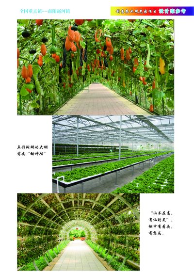 武汉]武汉市高素质农民种养殖品牌推广培训班成功举办