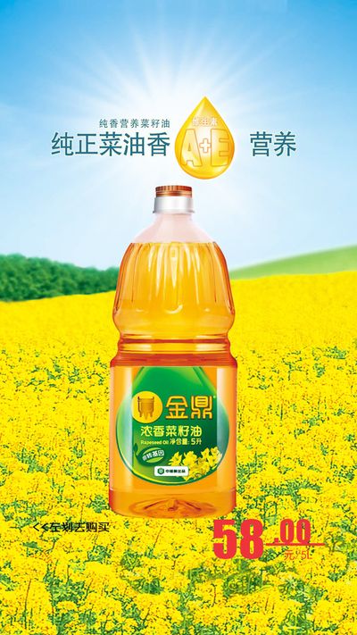 菜籽油市场： 政策主导贸易格局