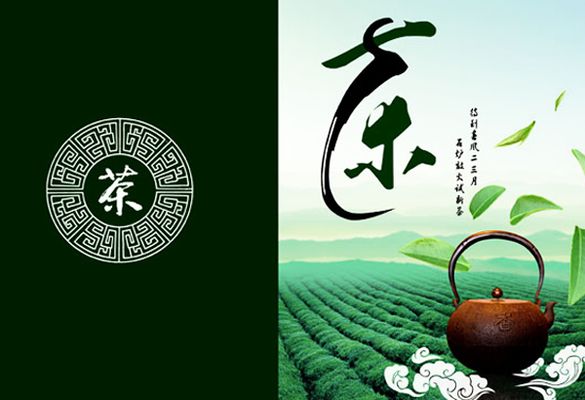 一盏茶：中国-东盟茶香交融酿合作新韵
