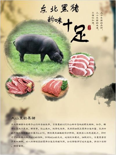 560斤黑猪卡暗沟网友出招饿两天 奇招救猪引发热议