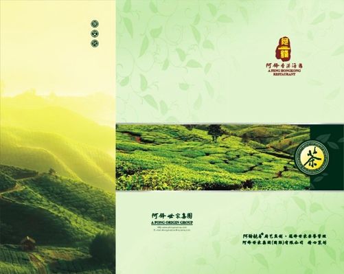 从传统jbo竞博电竞网址饮品到跨界创新：松阳茶叶的N种玩法