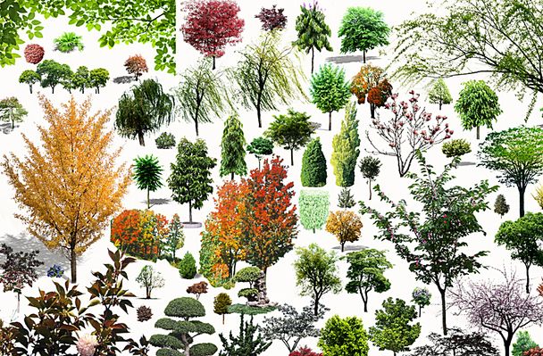 曼城球队显示极致攻守平均