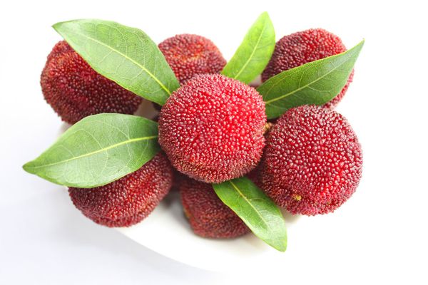 黄乃裳主要事迹